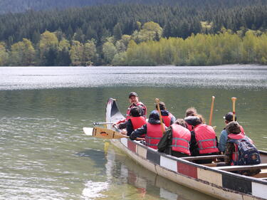 paddle project